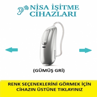 Resim